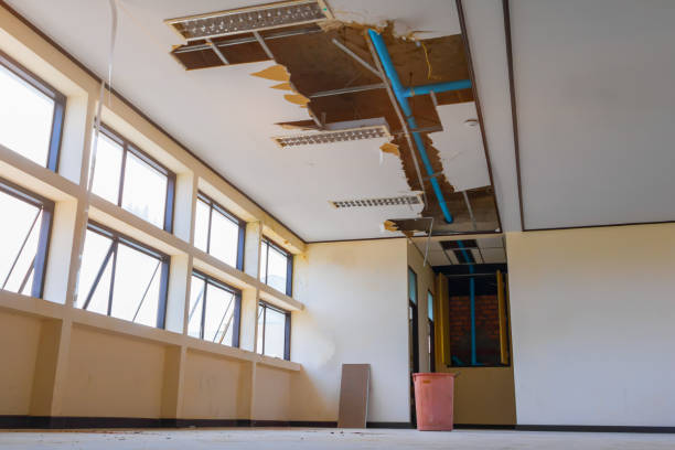 Best Professional water damage repair  in Liberty Lake, WA