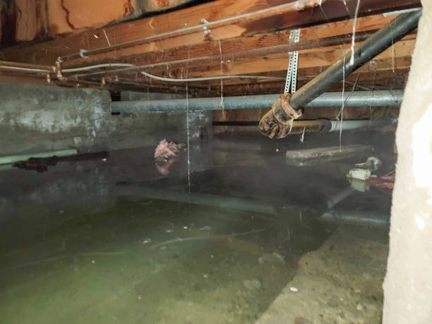 Water damage restoration process in Liberty Lake, WA