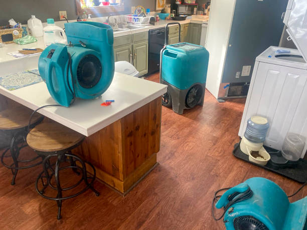 Best Water damage cleanup near me  in Liberty Lake, WA