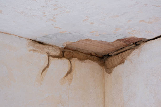Best Mold removal after water damage  in Liberty Lake, WA