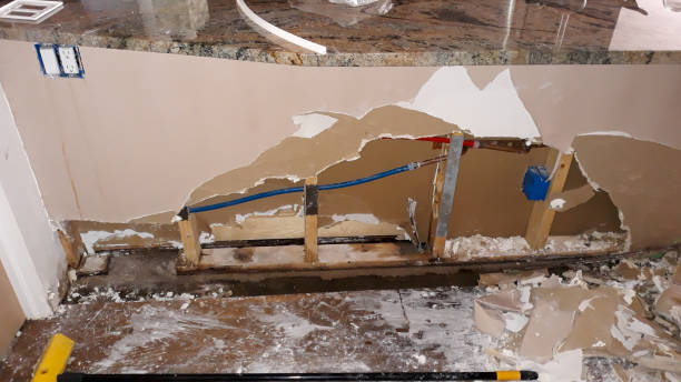 Best Water damage restoration mold remediation  in Liberty Lake, WA