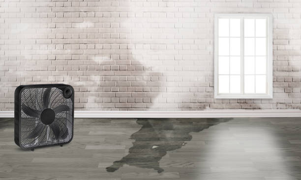 Professional Water damage restoration in Liberty Lake, WA