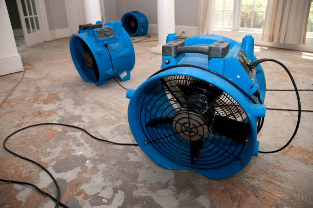 Best Residential water damage restoration  in Liberty Lake, WA