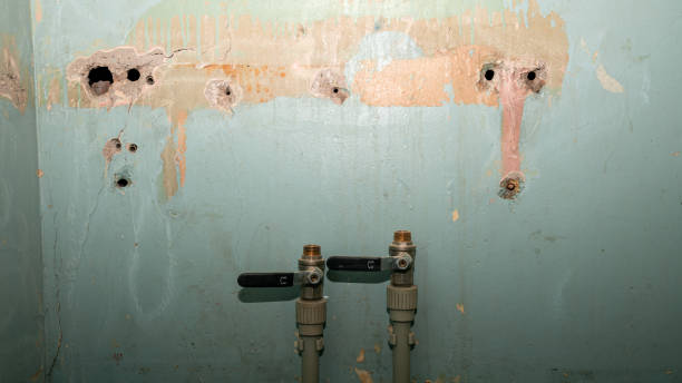 Best Sewage cleanup and water damage restoration  in Liberty Lake, WA