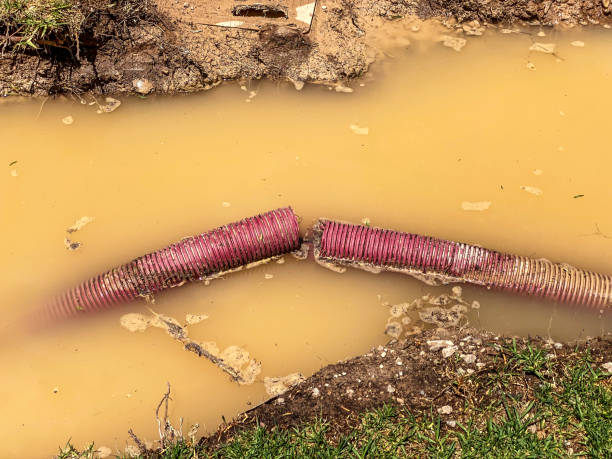 Best Local water damage restoration  in Liberty Lake, WA